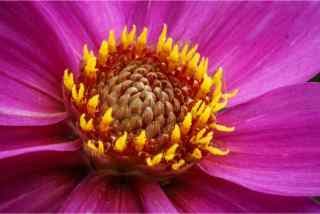 Sample image 4 for enhancement demo