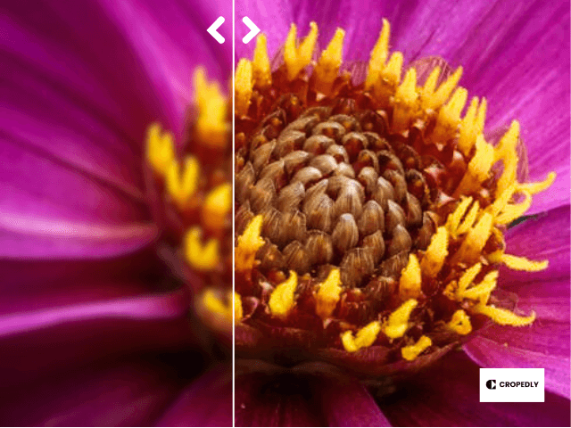 Thumbnail for blog: Science Behind an Online Photo Enhancer: A Step-by-Step Guide