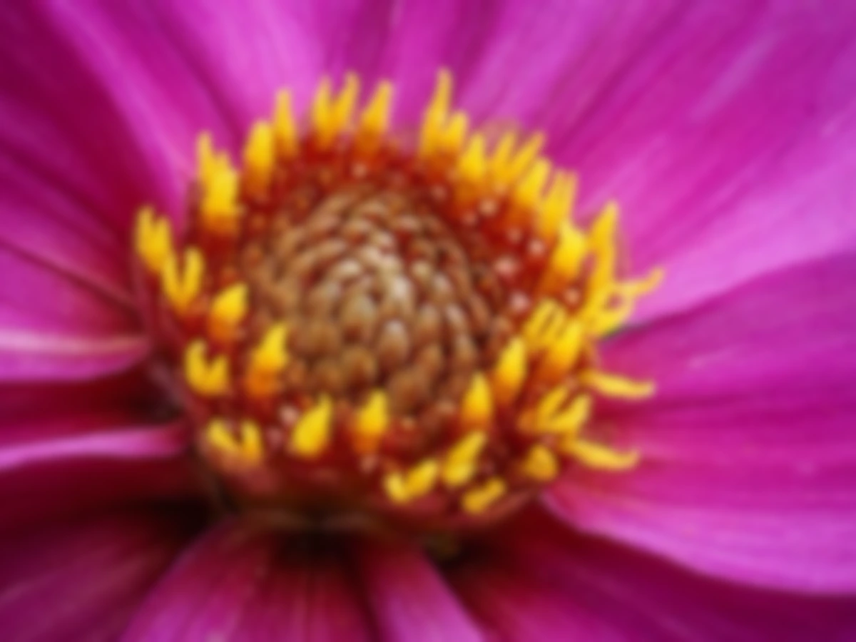 Picture Upscaler for High-Resolution Results - low resolution